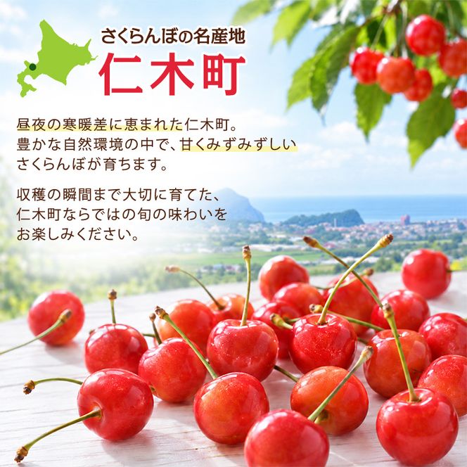 2027年発送 北海道 仁木町産 さくらんぼ (Lサイズ以上) 800g～900g 佐藤錦 又は 紅秀峰 サクランボ チェリー フルーツ 果物 [くだものの笠井園]