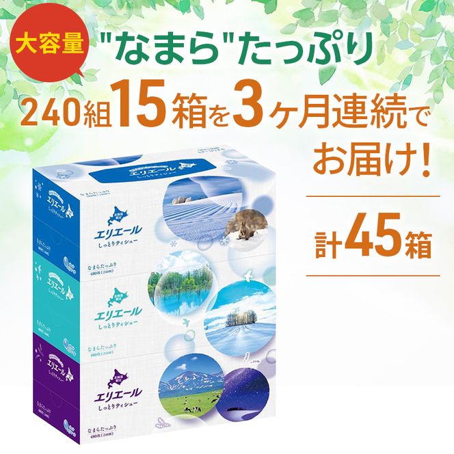 定期便 3ヵ月連続お届け エリエール ハーフサイズ 収納に便利 コンパクト 【少量5パック】 北海道 しっとりティシュー なまらたっぷり 240組3箱 5パック 計15箱 ボックスティシュー ふるさと納税限定デザイン