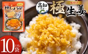 しょうが 味付け 極しょうが 110g×10袋 計1100g 【7日程度で発送】 生姜 ジンジャー ご飯のお供 おかず トッピング アレンジ 料理 手軽 便利 刻み生姜 国産 特産品 しょうが ショウガ 高知県産 坂田信夫商店 高知県 香南市 常温 Xnb-0014