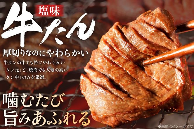 牛タン 厚切り牛タン 塩味 500g [亀山精肉店 宮城県 気仙沼市 20565156] 精肉 肉 牛肉 牛たん 牛タン ぎゅうたん タン タン塩 厚切り 味付き 冷凍 焼肉 焼き肉 BBQ アウトドア【CF01】