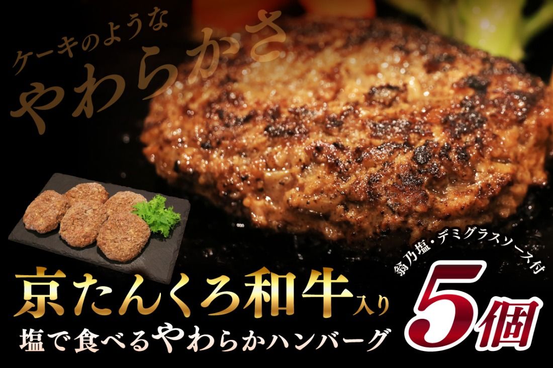 [クリスマスまでにお届け(12月20日〜23日配送)]塩で食べるやわらかハンバーグ(デミグラスソース付) NH00042_12x