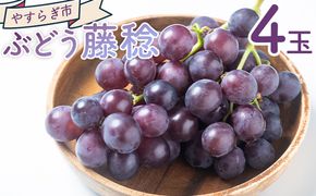 ぶどう 藤稔 4P 国産 果物 くだもの 青果 フルーツ 葡萄 ブドウ グレープ ジューシー デザート やすらぎ市 高知県 香南市 冷蔵 yr-0099