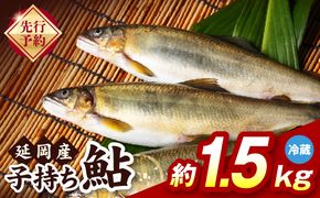 【先行予約】2026年10月下旬より発送開始【冷蔵】子持ち鮎約1.5kg N070-YB1106-1