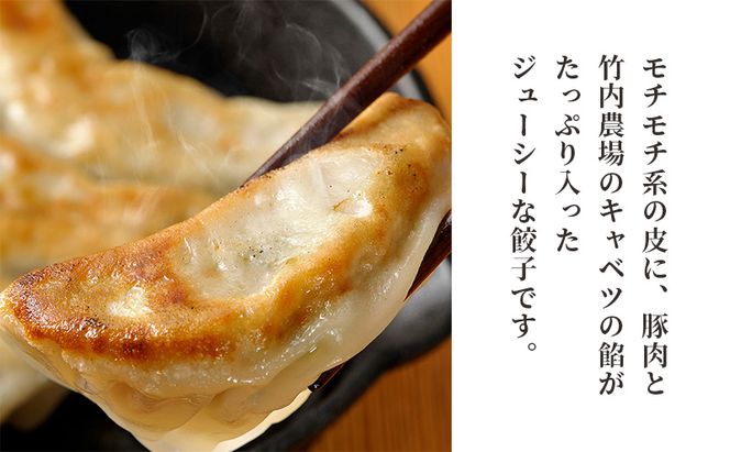 ボリューム満点 手作り冷凍餃子 45個 (15個×3袋)［錦華園］【 野菜 キャベツ たっぷり 厚い 手包み 手作り もちもち モチモチ 汁 町中華 中華 北海道 十勝 幕別 】