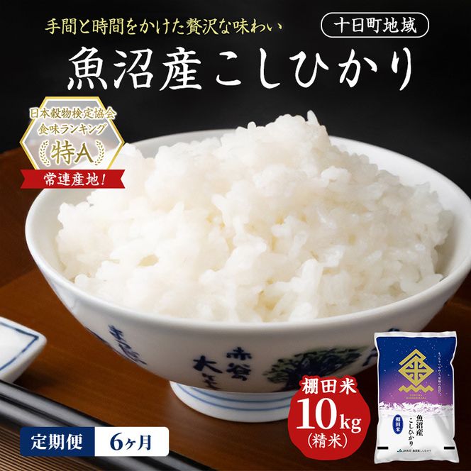 【6ヶ月定期便】魚沼産こしひかり 棚田米(十日町地域) 精米 10kg(5kg×2) 米 お米 コシヒカリ 定期 十日町市