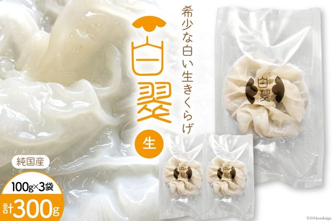 【期間限定発送】きのこ 白 生きくらげ 100g×3袋 [きくらげ堂 日向店 宮崎県 日向市 452060820] キクラゲ 木耳 食物繊維 無添加 きのこ 冷蔵