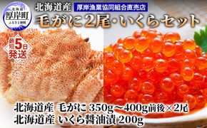 厚岸漁協イチオシ！【3D冷凍】北海道産 毛がに（約350g～400g）2尾・いくら200gセット 毛カニ 蟹 毛蟹 魚卵 魚介類 魚介 