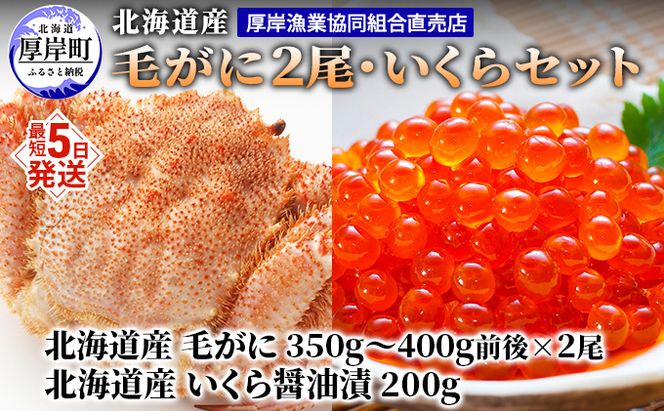 厚岸漁協イチオシ！【3D冷凍】北海道産 毛がに（約350g～400g）2尾・いくら200gセット 毛カニ 蟹 毛蟹 魚卵 魚介類 魚介 