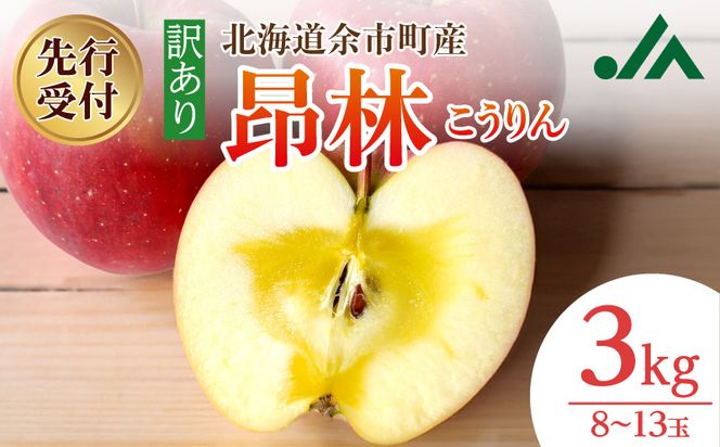 【先行受付：2026年10月中旬以降発送分】訳あり りんご（昂林） 3kg_Y010-0662