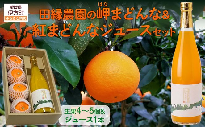 yQɕzys\zyʌzc_̖i͂ȁj܂ǂȐʁg܂ǂȃW[XZbg i2025N1210菇j IKTA004