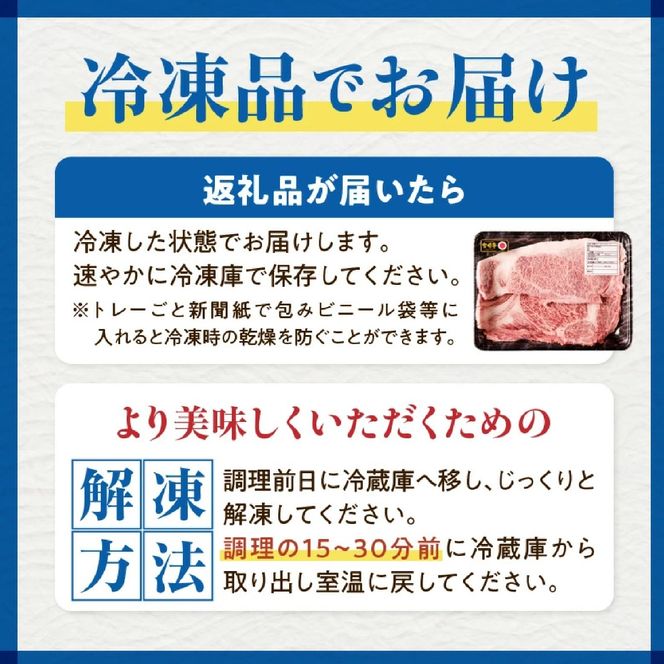 【A4等級以上】宮崎牛ヒレステーキ4枚 計600g（内閣総理大臣賞 A4 A5 宮崎牛 牛肉 黒毛和牛 ヒレ フィレ ステーキ 赤身 宮崎県）