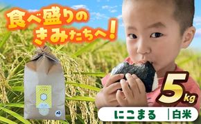 【先行予約/10月より順発送】 【令和7年度産 新米】にこまる　白米　5kg　お米　ご飯　愛西市 / 株式会社戸倉トラクター[AECS055]
