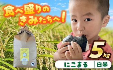 ＼選べる配送月/にこまる 白米 5kg お米 ご飯 愛西市/株式会社戸倉トラクター[AECS055]