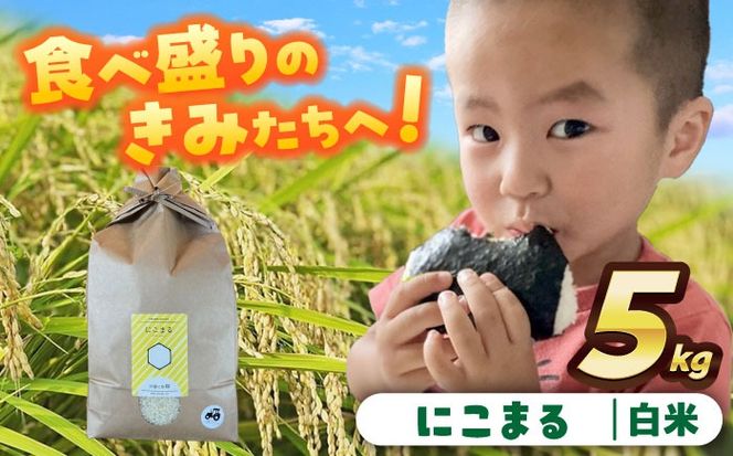 【先行予約/10月より順発送】 【令和7年度産 新米】にこまる　白米　5kg　お米　ご飯　愛西市 / 株式会社戸倉トラクター[AECS055]