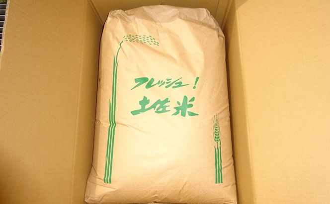 【7日程度で発送】特別栽培米 コシヒカリ 玄米 30kg - 国産 米 お米 おこめ こしひかり 玄米 ごはん おにぎり おむすび ご飯 最短配送 スピード発送 早い 早く届く 農業公社 高知県 香南市 常温 nu-0009