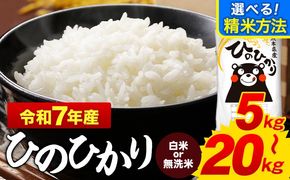 無洗米 も選べる ひのひかり 5kg 10kg 15kg 20kg 令和7年産  《7-14日以内に出荷予定(土日祝除く)》 熊本県産 ふるさと納税 無洗米 白米 精米 ひの 米 こめ ふるさとのうぜい ヒノヒカリ コメ お米 おこめ---mifune_lcl_974_5kg---