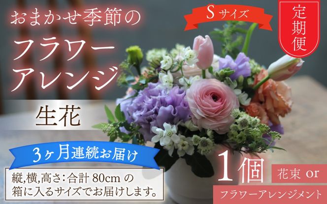 【定期便3回】母の日アレンジok おまかせ季節のフラワーアレンジ（生花）Ｓサイズ×3ヶ月【母の日申込期日：4/26（日）まで】【母の日発送予定日：～5/11（月）まで】お好み 日時指定可能