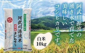D391 阿武川源流米コシヒカリ白米10㎏