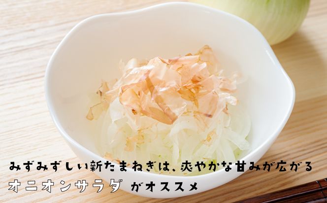 淡路島産新玉ねぎ 5kg　玉ねぎ