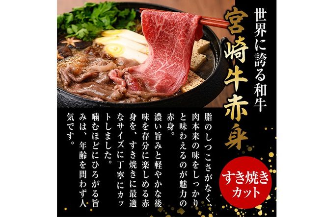 宮崎牛 赤身カット すき焼き (合計1kg・500g×2) すき焼き お肉 牛肉 黒毛和牛 宮崎牛 ブランド和牛 冷凍 国産 モモ ウデ 宮崎県産【YM-25】【YAMATO株式会社】