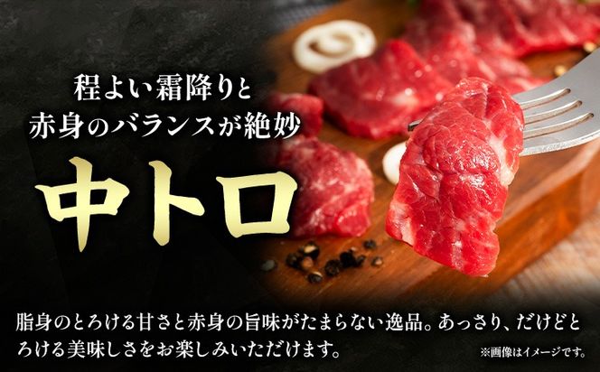 馬肉 ふじ 馬刺し 人気3種詰合せ 約 240g 道の駅竜北《60日以内に出荷予定(土日祝除く)》 熊本県 氷川町 肉 馬肉 中トロ 大トロ 上赤身 ふじ馬刺し セット 食べ比べ---sh_fyenk3syu_24_60d_30500_240g---