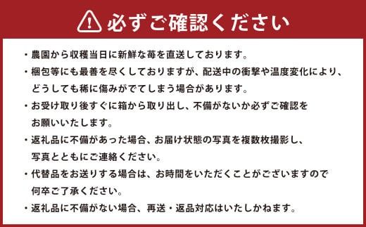 あまおう 約570g 約285g×2パック いちごファームきらら 冷蔵【ふくおかエコ農産物認証】【2025年2月下旬から3月下旬発送予定】