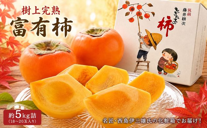 【福岡県朝倉特産】名匠・西島伊三雄氏の化粧箱でお届け！極上の甘みとジューシーな果肉、朝倉産もぎたて樹上完熟富有柿 贈答用高級化粧箱 18～20玉入り 約5kg詰