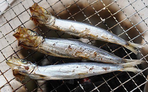 【訳あり】 名人が作る魚の丸干し＆開きセット 3kg 干物 国産 天然 ひもの 干物セット 訳アリ わけあり 魚 魚介 冷凍 新鮮 鮮魚 選抜 武久海産 丸干し 切り身 おつまみ おかず 人気 珍味 グルメ 規格外 国産 武久海産 愛媛 愛南	
