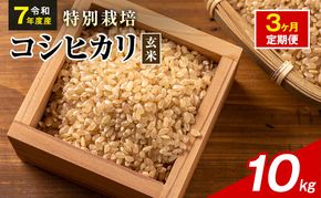 令和7年産 特別栽培米 コシヒカリ 玄米 10kg 静岡県産 色彩選別済 食に意識高い方へオススメ 3ヶ月定期便