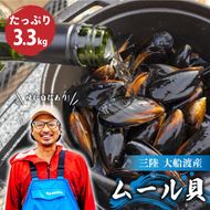【8月～12月発送】 国産 活ムール貝 3.3kg ムール貝 ムラサキ貝 殻付き 新鮮 産地直送 旬 三陸 岩手県 大船渡市 [nakano010]