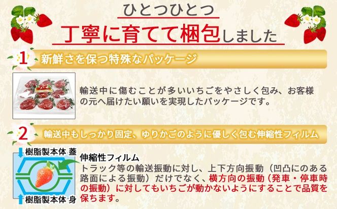 ＜高級いちご「やよい姫」（9～12粒×1パック 約380g以上）簡易包装＞2025年1月上旬から4月末迄に順次出荷 【簡易包装 ご家庭用 いちご イチゴ 苺 先行予約 甘い 大きい 果物 フルーツ 季節物 】【b0852_sn】