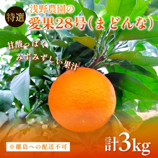 【先行予約】【数量限定】浅野農園の愛果28号（まどんな）特選計3kg ※離島への配送不可（2026年12月中旬～2027年1月中旬頃に順次発送予定）IKTAC023