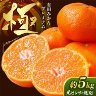 ＼光センサー選別／極 有田みかんプレミアム 約5kg【光センサー 高糖度選別品】2S～Lの小玉サイズ 有機質肥料100% | 光センサー選別 温州みかん みかん 高糖度 柑橘 果物 フルーツ 甘い◇