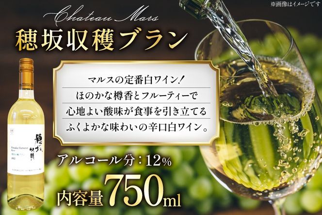 ワイン 飲み比べ ソムリエセレクト 白ワイン 4本セット [本坊酒造 マルス穂坂ワイナリー 山梨県 韮崎市 20743677] ワインセット 白 シャトーマルス 辛口 お酒