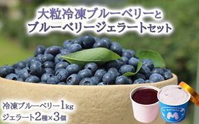 大粒冷凍ブルーベリー1kgと手作りブルーベリージェラート2種×3個セット ※離島への配送不可