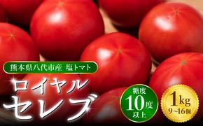 【先行予約】 くまもと塩トマト「ロイヤルセレブ」 約1kg  トマト 野菜 熊本県産 新鮮 サラダ やさい とまと 八代市産 九州 【2026年1月上旬より順次発送】