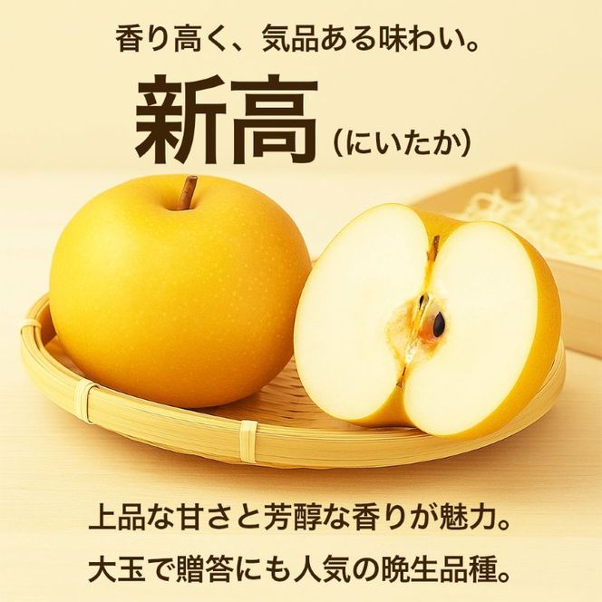 新高梨 約3kg（4～12玉）【梨 なし 果物 フルーツ デザート 食後 熊本県産】※配送不可：離島
