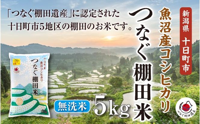 無洗米5kg　令和7年産新潟県十日町市魚沼産コシヒカリ「つなぐ棚田米」 米 こしひかり 無洗米 十日町市