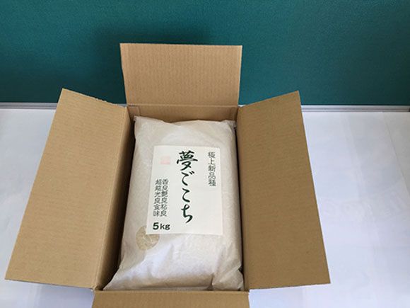 【7年産】近江米夢ごこち【5kg×2袋】【T035W3】