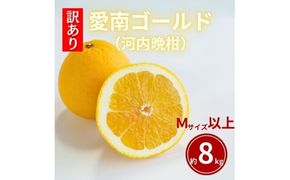 【ふるさと納税】 先行予約 訳あり  愛南ゴールド 約8kg  Mサイズ以上 河内晩柑 柑橘 フルーツ 果物 蜜柑 みかん くだもの 家庭用 傷 不揃い  サイズミックス かわち ばんかん 和製 グレープフルーツ デザート甘い ジューシー 特産品 国産 農園 直送 愛媛県 愛南町 和家農園