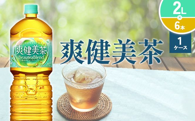 爽健美茶 2L PET【コカ・コーラ】ペットボトル 1ケース(6本)  セット お茶 カフェインゼロ ノンカフェイン ハトムギ ブレンド茶 宮崎県 えびの市 送料無料