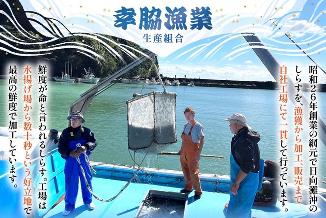 ちりめん 宮崎県産 無添加 ちりめんじゃこ 120g 3p 計360g [幸脇漁業生産組合 宮崎県 日向市 452061353] じゃこ 国産 しらす干し 小分け ジャコ 保存料不使用