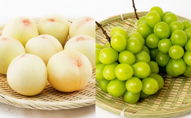 フルーツ 定期便 2026年 先行予約 フルーツ王国 岡山 ベストセレクト 3回コース 桃 もも 葡萄 ぶどう 梨 なし 岡山県産 国産 果物 セット ギフト 