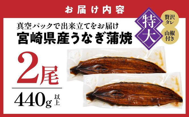 宮崎県育ちの【特大】うなぎ蒲焼2尾440g以上≪山椒・たれ付≫_18-M301