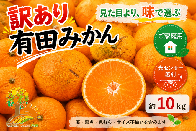 【訳あり】有田みかん 10kg | 農家直送 訳あり ご家庭用 サイズ混合 光センサー選別 温州みかん みかん 訳あり わけあり 家庭用