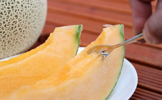 【2026年6月発送】富良野メロン 4～5玉 計約8kg (NORTH FUN) メロン フルーツ 果物