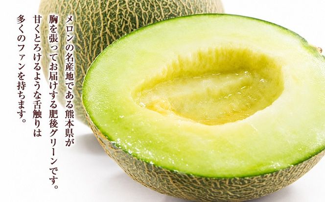 肥後グリーンメロン 1玉 熊本 株式会社エフビーネット《4月上旬-7月上旬頃出荷》熊本県 氷川町 果物 フルーツ 熊本県産 メロン 肥後グリーン めろん---hkw_26_efb_2_1t---
