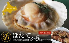 【12月発送限定】オホーツク産 『活』 ほたて 選べる容量3～8kg SRMN022-v