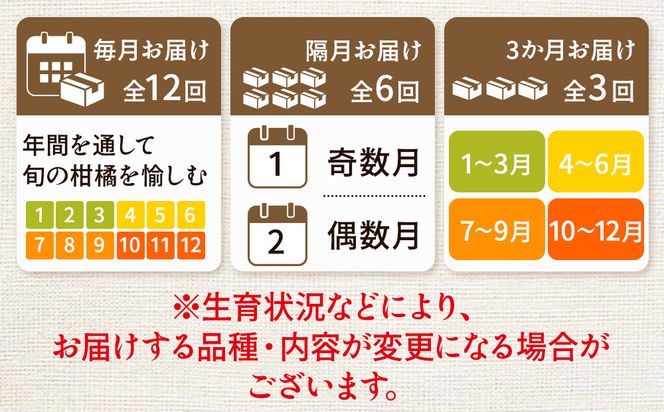 【定期便】家庭用 柑橘定期便 S 6回（偶数月）※北海道・沖縄・離島への配送不可※偶数月に発送