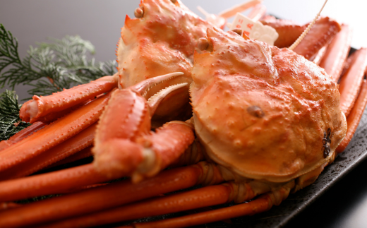 【本場香住漁港であがった！香住ガニセット5匹入り 三七十特製カニ味噌1本付 冷蔵/冷凍】カニの本場 香住産 厳選 茹で香住ガニ姿5杯入り 鮮度抜群 水揚げされたばかりの香住ガニを熟練の職人が釜茹でします かに 蟹 カニ ゆでガニ むき身 足 爪 かにすき かに鍋 兵庫県 香美町 香住 三七十 05-10